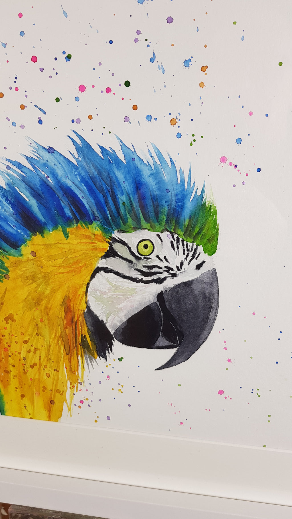 Macaw Parrot Watercolour Painting - 'Pirate' 17" x 12"