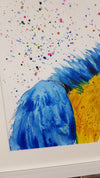 Macaw Parrot Watercolour Painting - 'Pirate' 17" x 12"