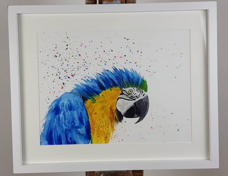 Macaw Parrot Watercolour Painting - 'Pirate' 17" x 12"